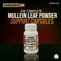 A bottle of pure Mullein Leaves Powder Capsules from Seamoss Africa, used for respiratory support and soothing wellness