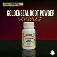 A bottle of pure Goldenseal Root Powder Capsules from Seamoss Africa, used for immune support and respiratory health.