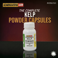 Kelp Powder Capsules