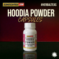 Hoodia powder 60 capsules