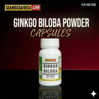 Ginkgo Biloba Capsules