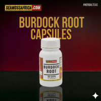 Burdock root 60 capsules