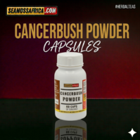 A bottle of pure Cancerbush Powder Capsules from Seamoss Africa, used for immune support and natural vitality