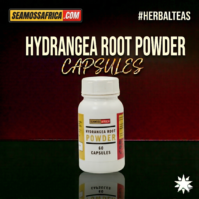 A bottle of pure Hydrangea Root Powder Capsules from Seamoss Africa, used for kidney and urinary tract support