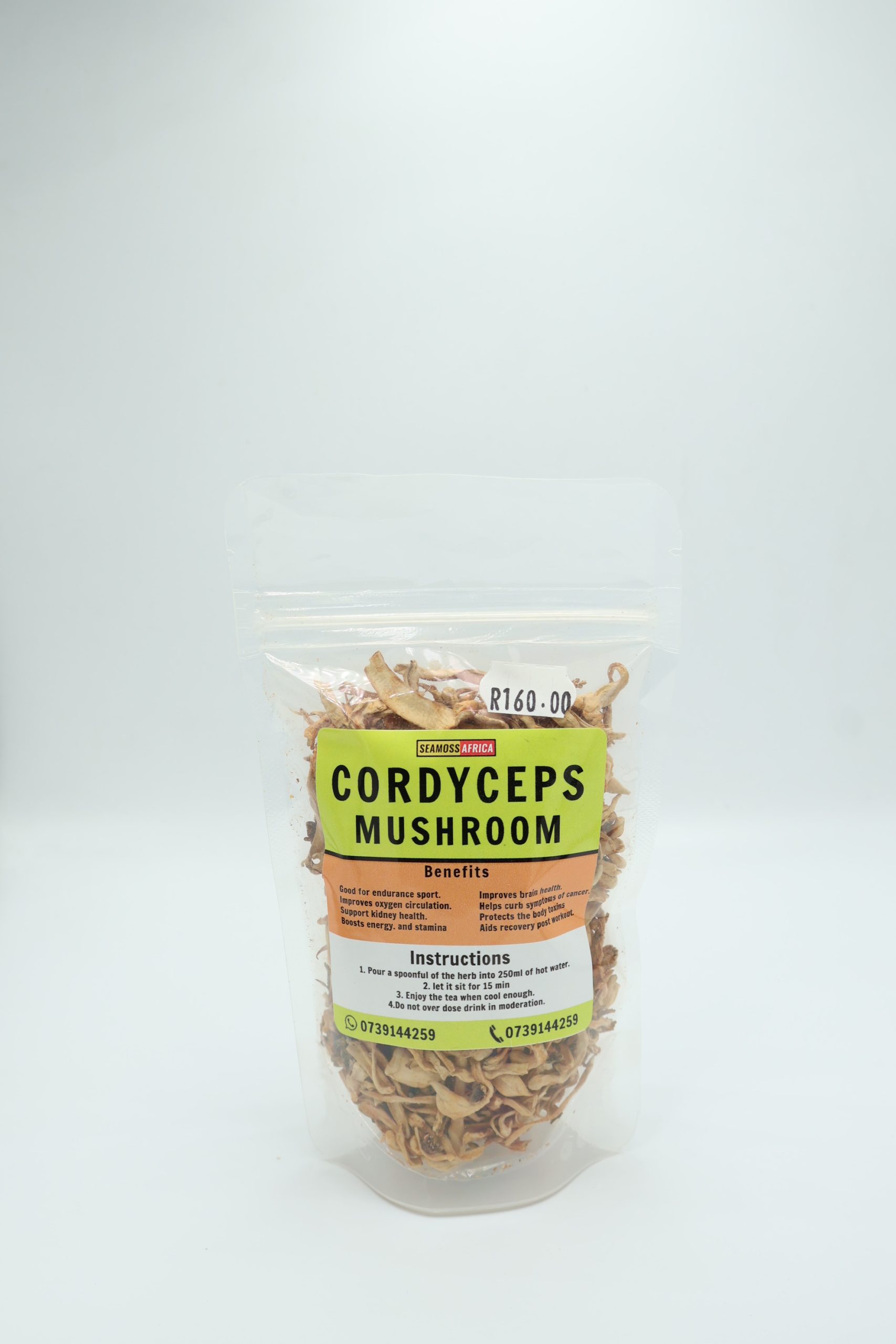 Cordyceps Mushroom