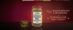 Sea Moss Gel 2026