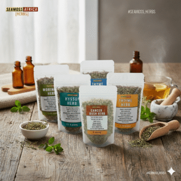 Seamoss Africa Herbal Products For Common Illnesses 2026