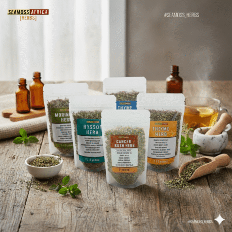 Seamoss Africa Herbal Products For Common Illnesses 2026